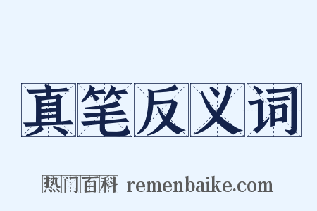 真笔反义词是什么意思的图片